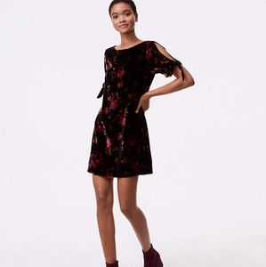 Velvet, floral short dress